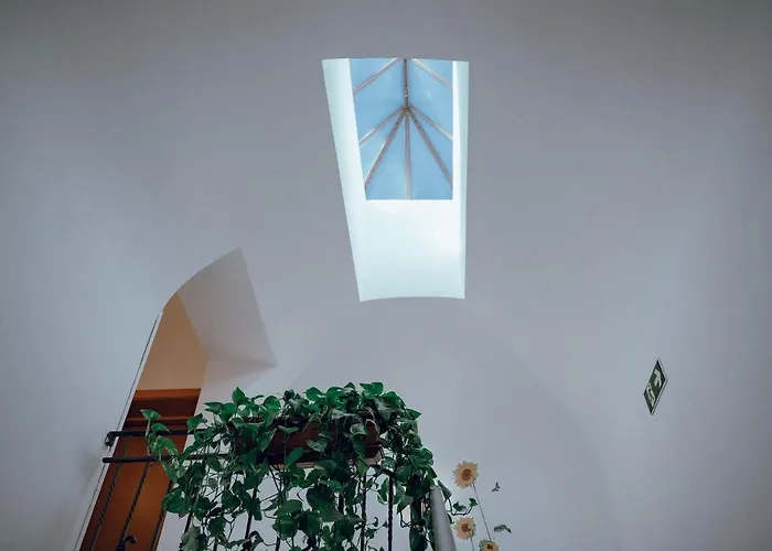 מלון Francesco פיזה